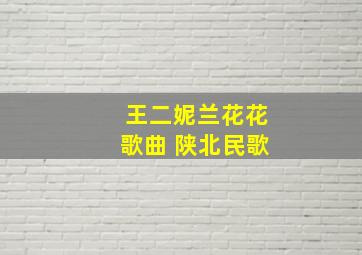 王二妮兰花花歌曲 陕北民歌